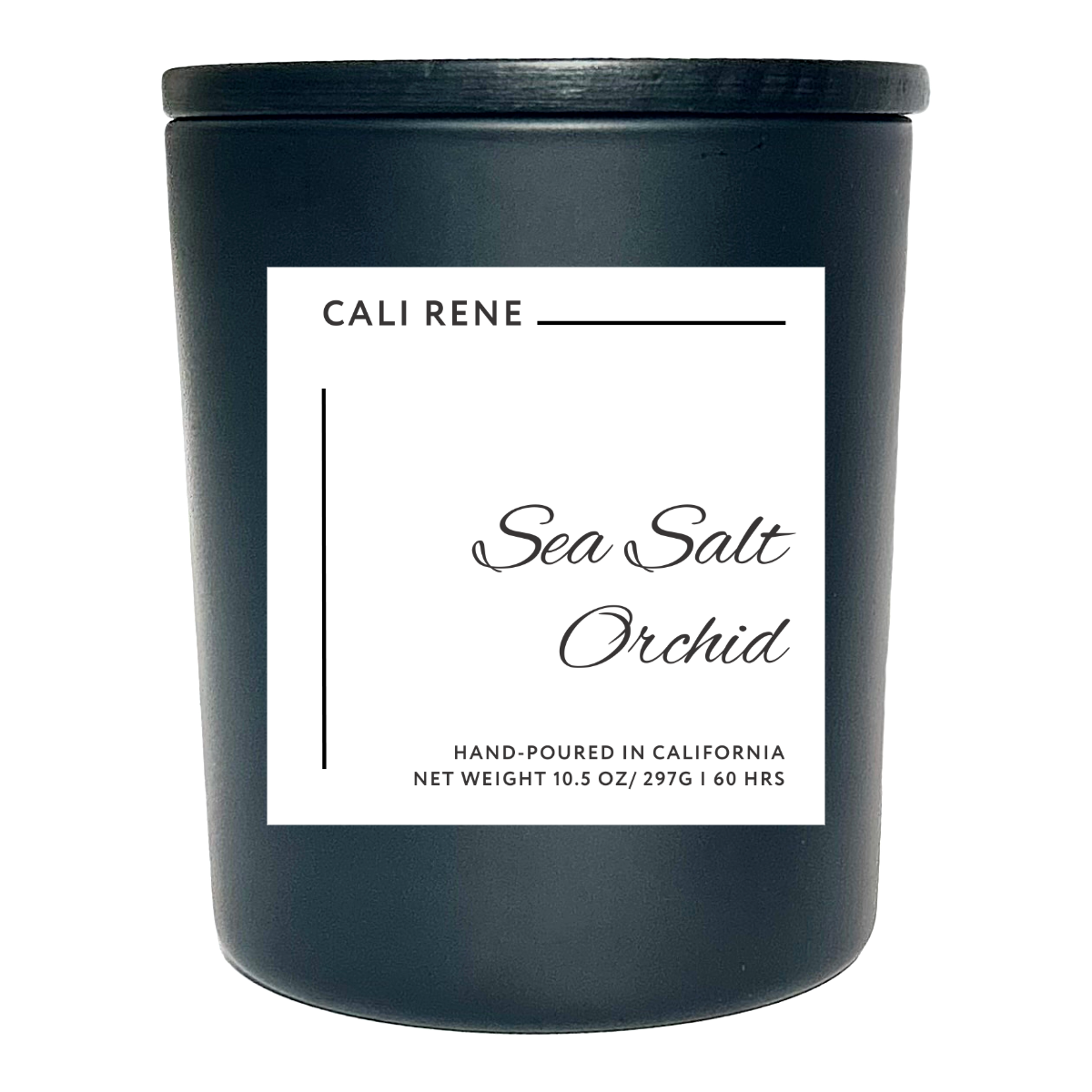 Sea Salt Orchid